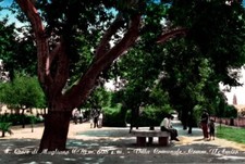 Campobasso S. Croce di