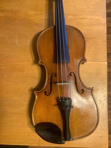 Violino qualità mezza - violino,