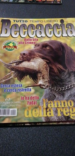 Beccaccia tuttotempo libero - beccaccia,