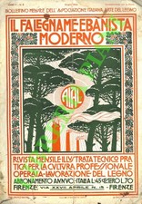 Falegname ebanista moderno - il,