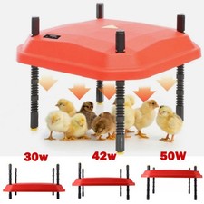 Piastra riscaldante pulcino