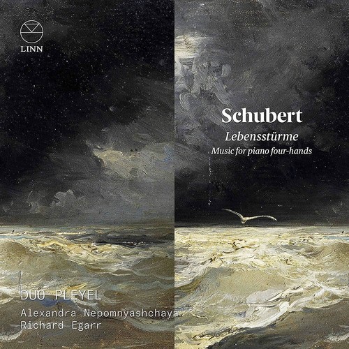 9187168 audio schubert - 9187168,
