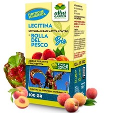 Fungicida Polvere per Bolla