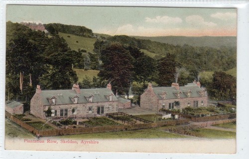 Plantation row skeldon - row,,