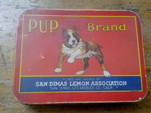 Rare pup brand - pup, collectible