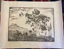 Quadro Incisione Originale Remo Branca Puledro Sardo Xilografia Sardegna 900