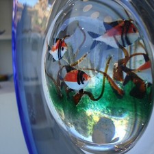 Acquarius scultura vetro