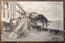 1903 CAPRI con CARROZZE & CAVALLI-80492