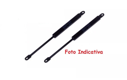 Molle gas cofano - 2,