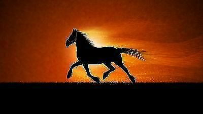 Quadri moderni poster 100x140 - quadri,