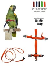 Pettorina elastica fibbie