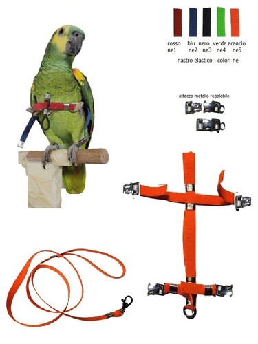 Pettorina elastica fibbie