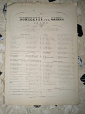 G. DONIZETTI - IL CAVALLO