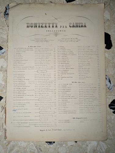 Donizetti il cavallo - g.,