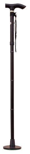 Acclaim bastone passeggio - acclaim,