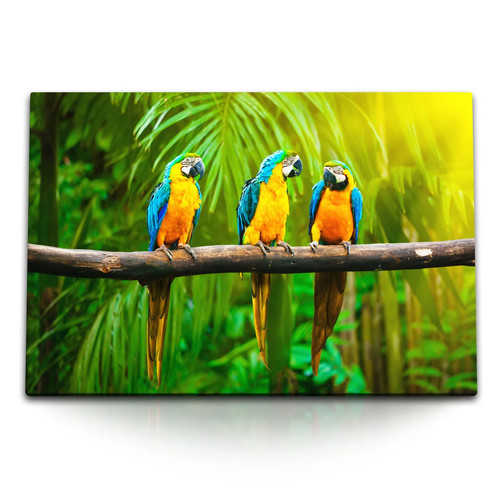 Quadro tela 120x80 - cm, 3