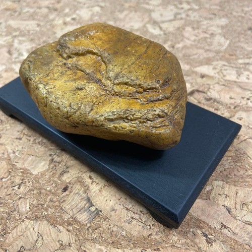 Bonsai suiseki bonseki - di,