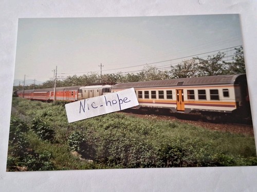 Fotografia locomotore tigre - fotografia,