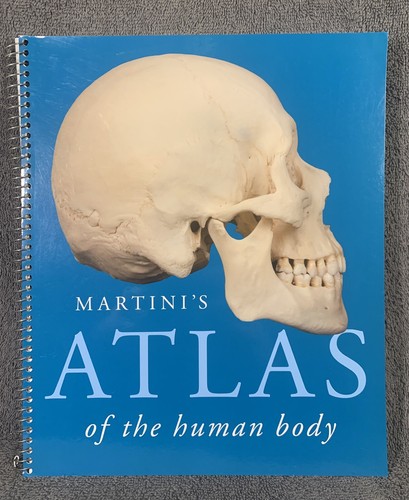 Martini atlas the human - the,