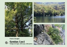 Libro Nuovo - Franco Zavagno -