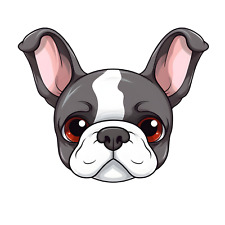 Bulldog francese cane auto