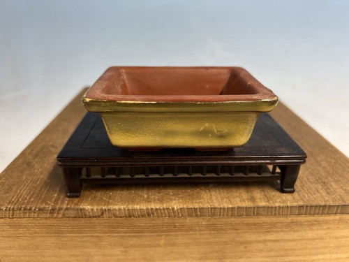 Sconosciuto vaso per bonsai - , di