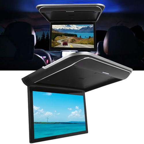 Monitor tetto auto overhead - auto,