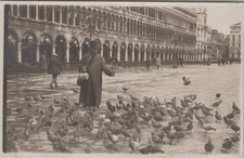 Foto venezia piazza san - venezia,
