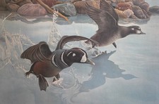 Anatre paesaggistiche stampa