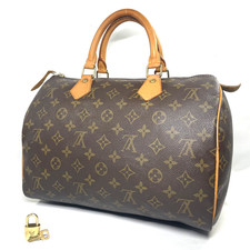 LOUIS VUITTON Speedy 30 borse