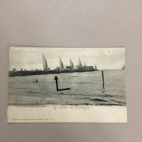 Viareggio ritorno delle - viareggio,ritorno,