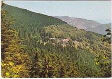 CAMPIGNA - AREZZO - S.S. N