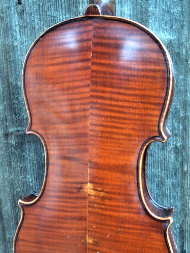 Violino z - violino, "j.h.z(immermann)"