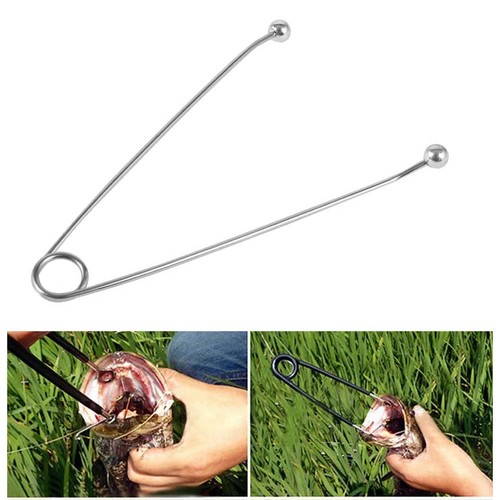 Pinza per pesci - , 18,5*10,5