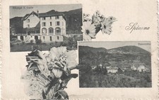 Bergamo - Spinone  al Lago - Vedutine - fp vg 1918