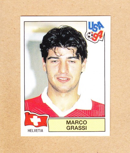 Panini mondiali fifa - panini,