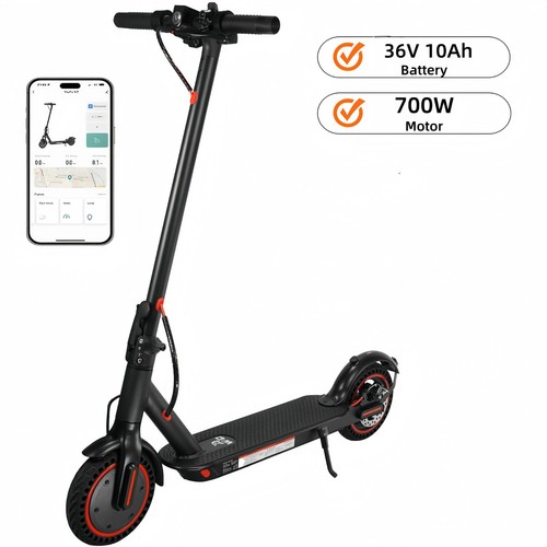 Adult electric scooter - adult, 36v