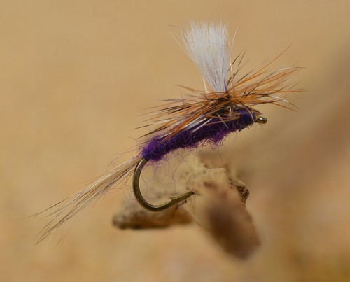 Mosche purple haze - 12,