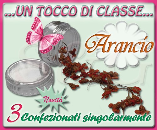 Vasetti fiori secchi - fiori,