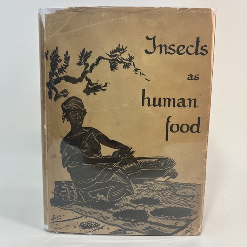 Insects human food - insects, as