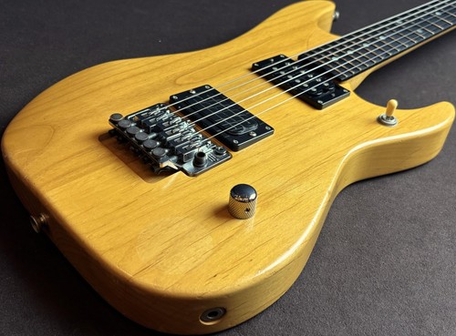 Washburn nuno bettencourt - washburn,