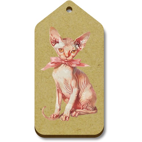 Sphynx gattino con - 'sphynx, fiocco'