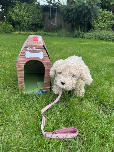 Labradoodle giocattolo lemieux - labradoodle,