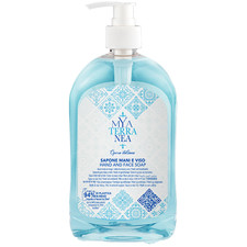 6 Dispenser Sapone Mani Viso