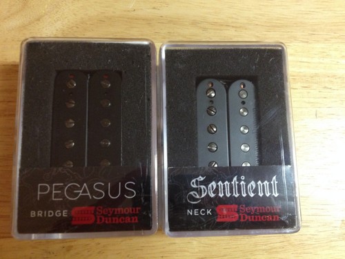 Seymour duncan pegasus - duncan,