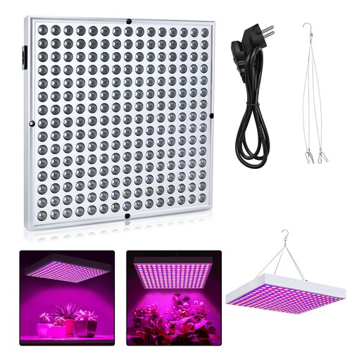 Lampada led per piante - piante,