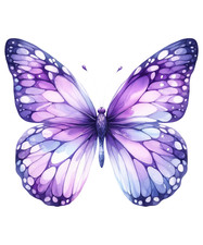 6 adesivi auto 18 x 18 viola