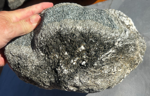 Landscape rock gneiss - -,