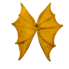 1983 Vintage Blackstar Gargo