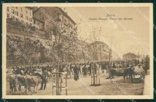 Belluno Feltre Campogiorgio